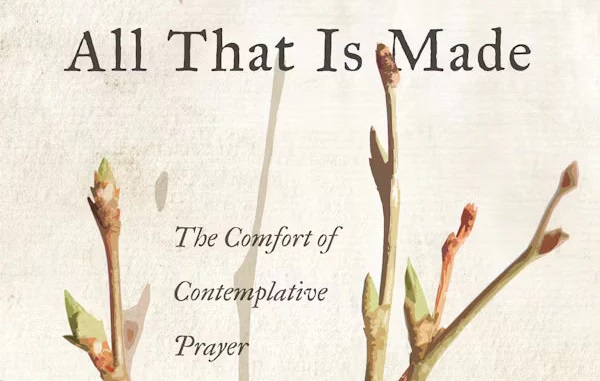 A new book by Keren Dibbens-Wyatt | Meditations from a person housebound by chronic illness